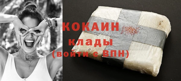 твердый Богданович