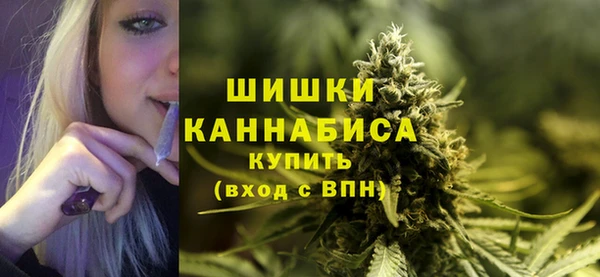 ALPHA PVP Белокуриха