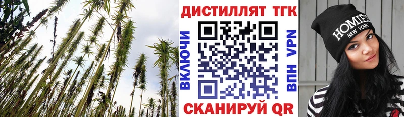 ТГК концентрат  Ковылкино 