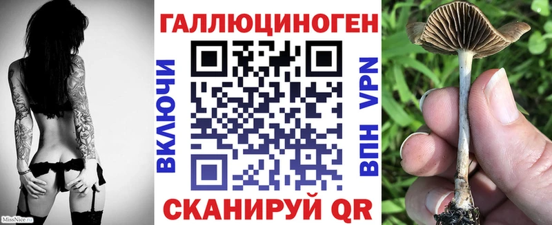 Галлюциногенные грибы Magic Shrooms  блэк спрут   Ковылкино 